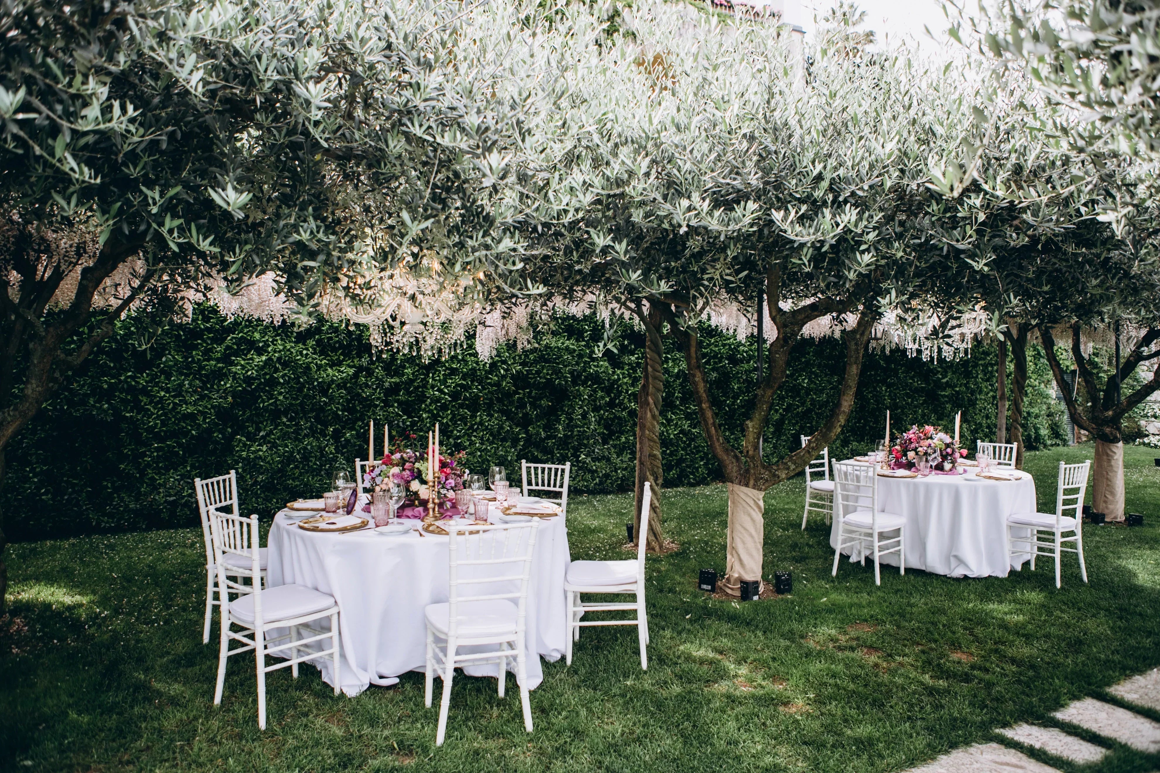 Sillas Tiffany: distinción y comodidad para eventos