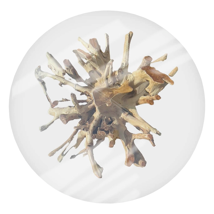 Alt Mesa Raíz Teka Blanqueada perfecta mesa de comedor 