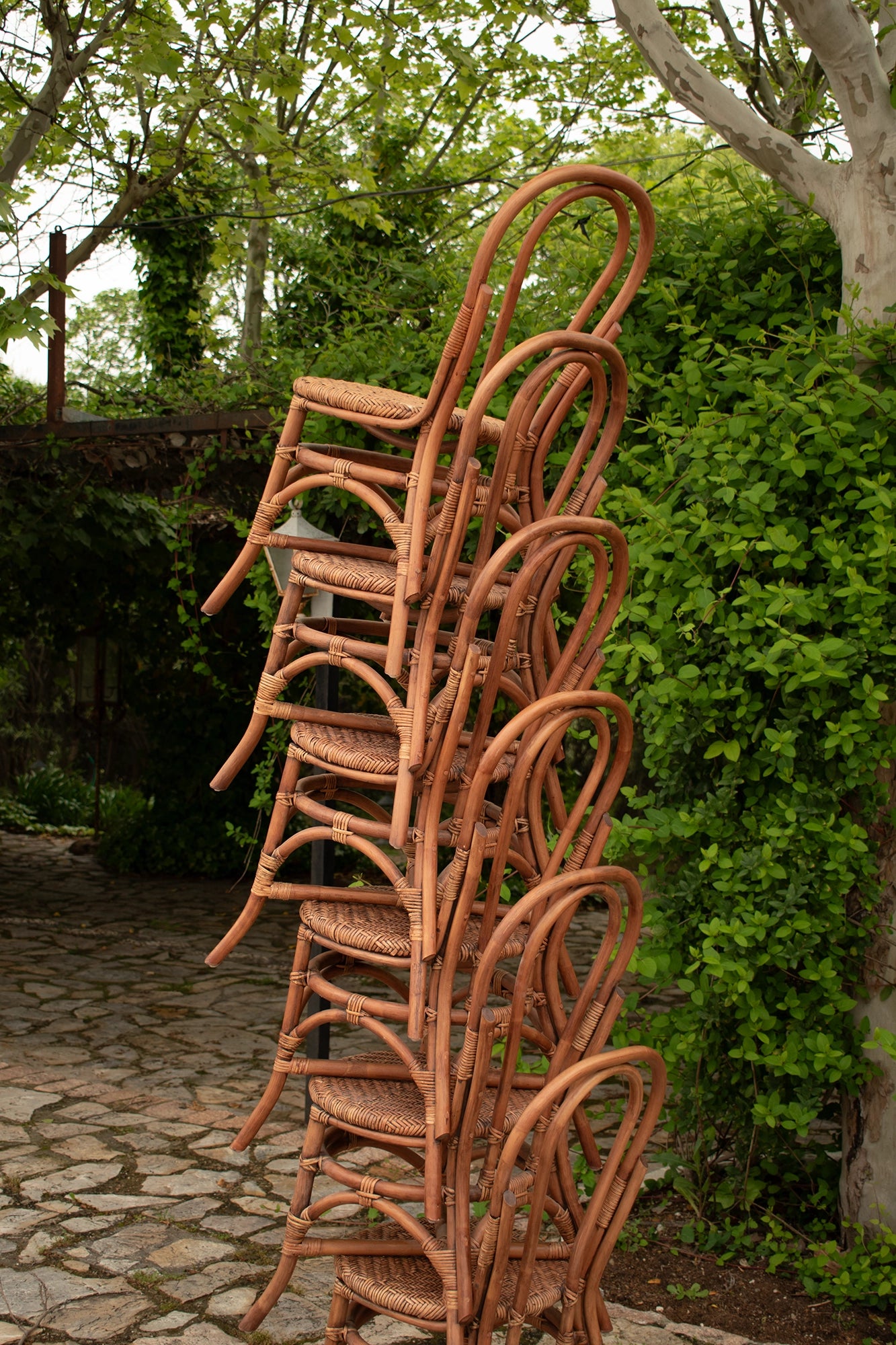 Alt Sillas fabricadas de ratán natural con estructura apilable ideal para Eventos EME Mobiliario