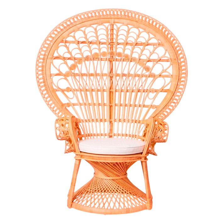 Sillón Emmanuel con cojín perfecto para darle un toque boho a cualquier espacio y/o rincón