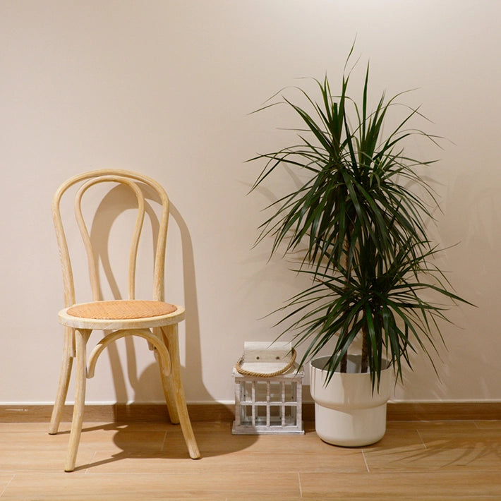 Alt Silla Thonet apilable Natural Fabricada con madera de olmo EME Mobiliario