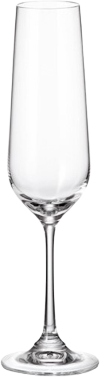 Copa de champagne de la colección Vigneto para eventos y hostelería de cristal transparente de 20cl.